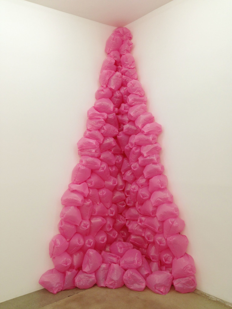 marenhassingerpinkbagsingraham