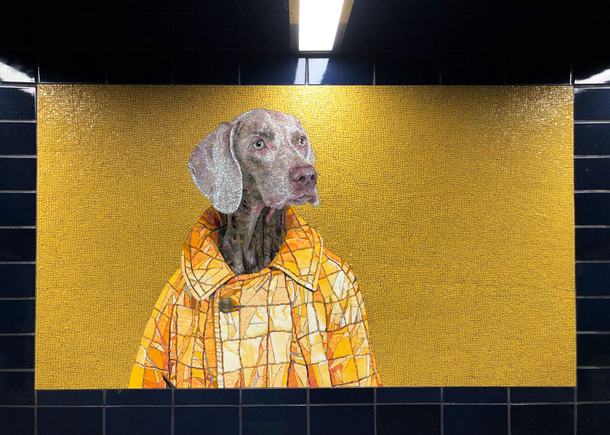 NYC Public Art William Wegman s Subway Murals Longlistshort